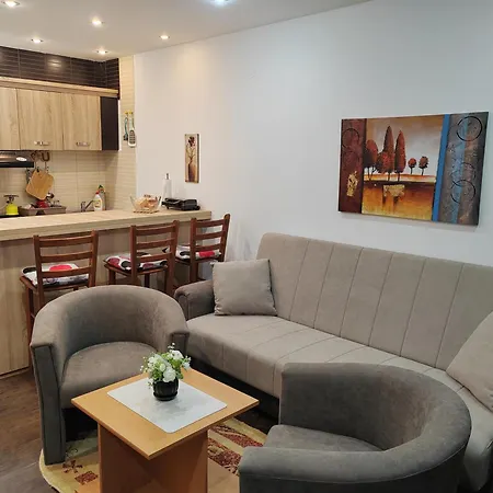 Appartamento Popadic-goc